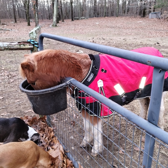 20% Off Bundles Of Two Items Or More - Picture 2 of 10